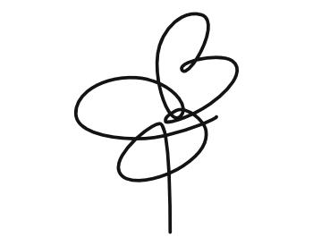 Logo de Blumi Studio